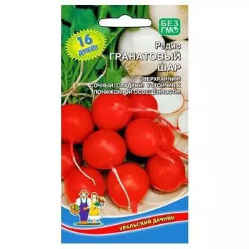 Редис Гранатовый шар Уральский дачник