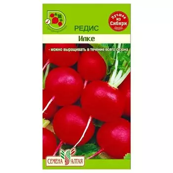 Редис Илке Семена Алтая