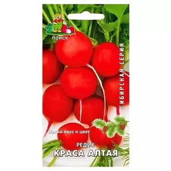 Редис Краса Алтая Поиск