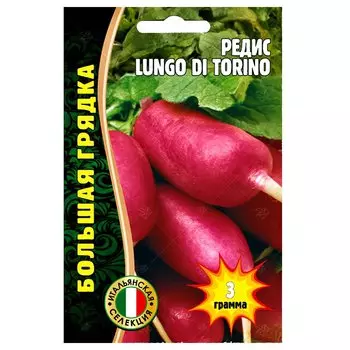 Редис Lungo Di Torino Редкие семена