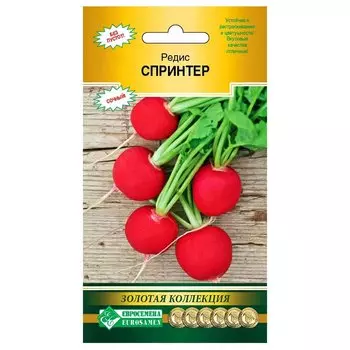 Редис Спринтер Евросемена