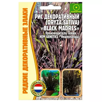 Рис декоративный Black Madres Редкие семена