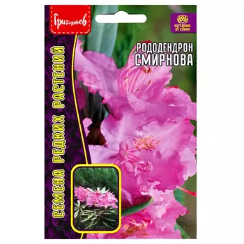 Рододендрон Смирнова Редкие семена