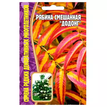 Рябина смешанная Додонг Редкие семена