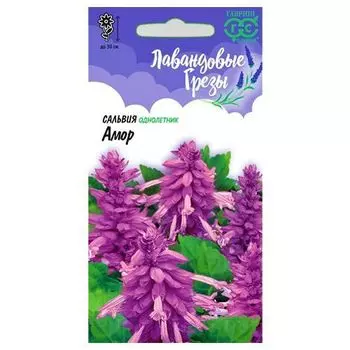 Сальвия Амор Гавриш