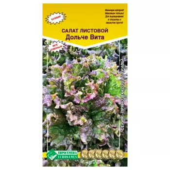 Салат Дольче Вита Евросемена