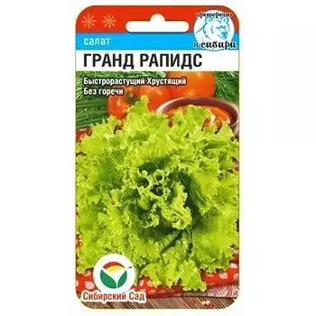 Салат Гранд Рапидс Сибирский сад