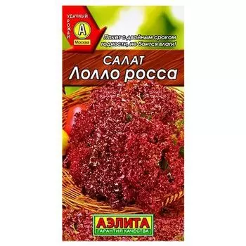 Салат Лолло Росса Аэлита