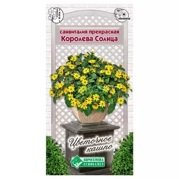 Санвиталия Королева Солнца Евросемена
