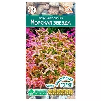 Седум (очиток) Морская звезда Евросемена