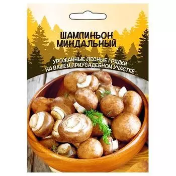 Шампиньон миндальный Уральский дачник