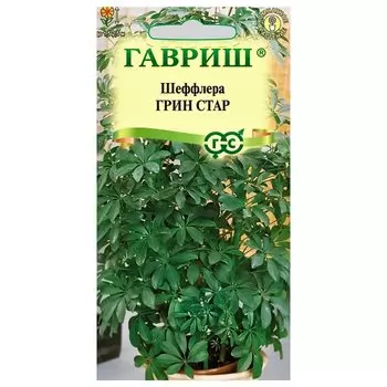 Шеффлера Грин Стар Гавриш