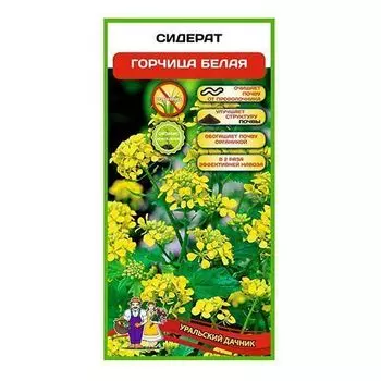 Сидерат Горчица белая Уральский дачник