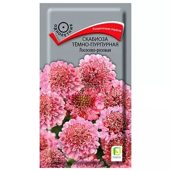 Скабиоза темно-пурпурная Лососево-розовая Поиск