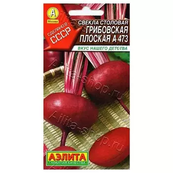 Свекла Грибовская плоская А 473 Аэлита