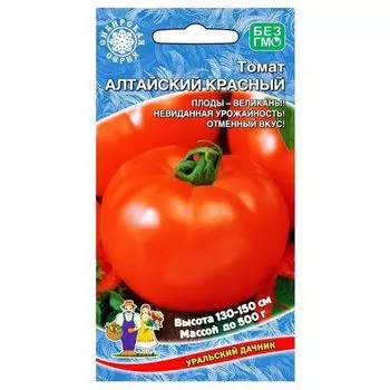 Томат Алтайский красный Уральский дачник