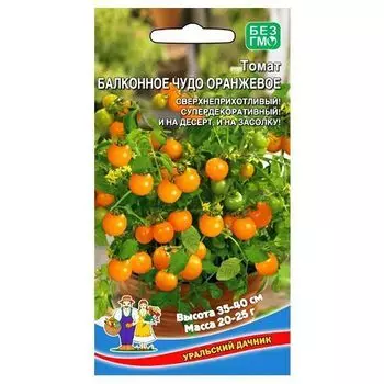 Томат Балконное чудо оранжевое Уральский дачник