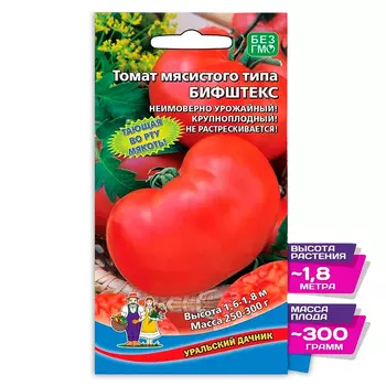 Томат Бифштекс Уральский дачник