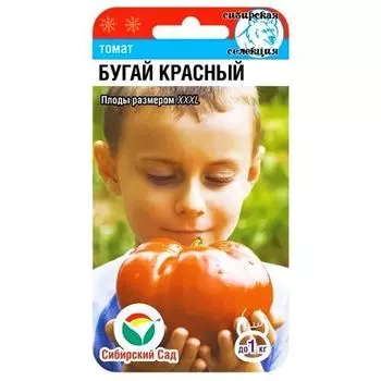 Томат Бугай красный Сибирский сад