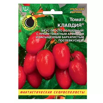 Томат Клавдия Уральский дачник