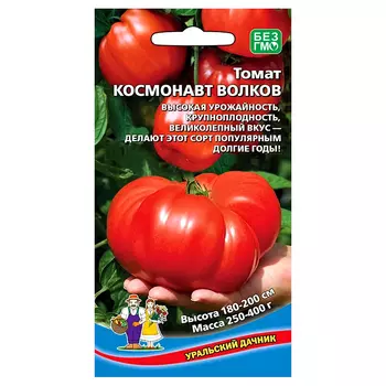 Томат Космонавт Волков Уральский дачник