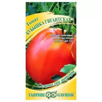 Томат Кубышка гигантская Гавриш