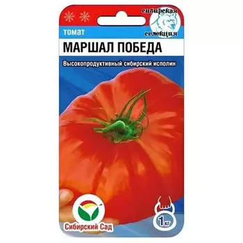 Томат Маршал Победа Сибирский сад