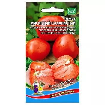 Томат Мясистый-Сахаристый Уральский дачник
