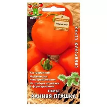 Томат Ранняя пташка Поиск