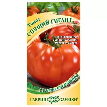 Томат Спящий гигант Гавриш