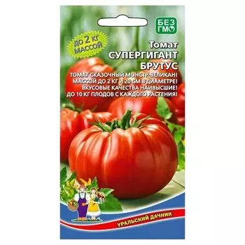 Томат Супергигант Брутус Уральский дачник