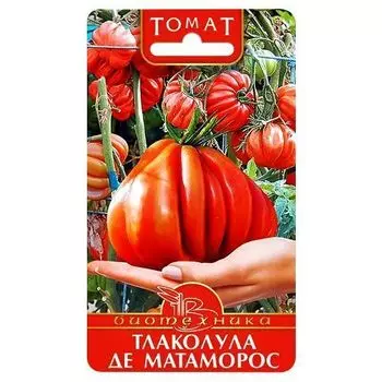 Томат Тлаколула де Матаморос Биотехника