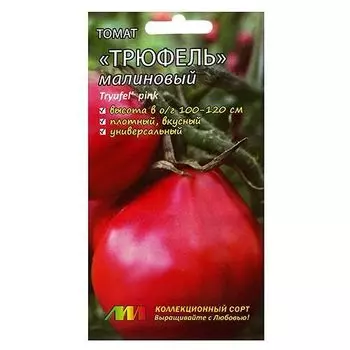 Томат Трюфель малиновый Селекционер Мязина Л.А.
