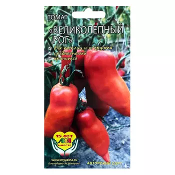 Томат Великолепный рог Селекционер Мязина Л.А.