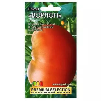 Томат Ворлон Селекционер Мязина Л.А.