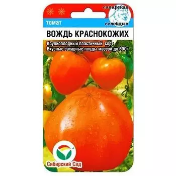 Томат Вождь краснокожих Сибирский сад