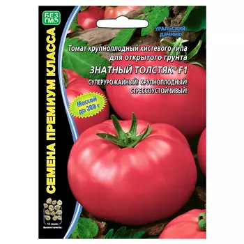 Томат Знатный толстяк F1 Уральский дачник