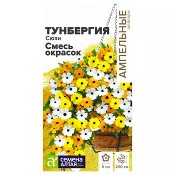 Тунбергия Сюзи, смесь окрасок Семена Алтая