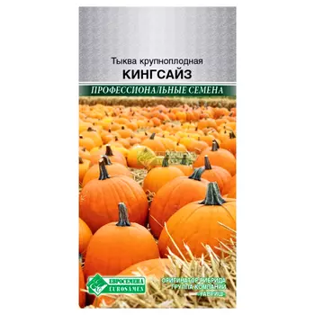 Тыква Кинг Сайз Евросемена