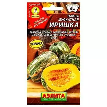 Тыква мускатная Иришка Аэлита