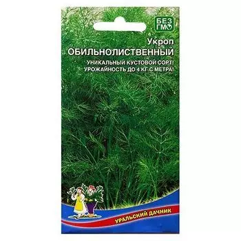 Укроп Обильнолиственный Уральский дачник