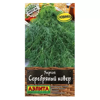 Укроп Серебряный ковер Аэлита