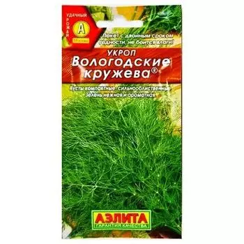 Укроп Вологодские кружева Аэлита