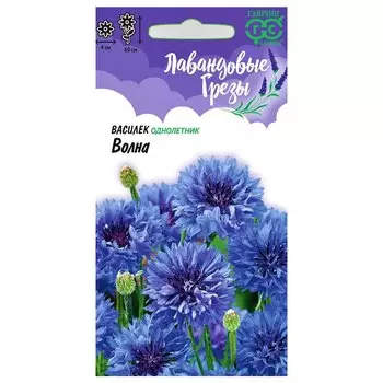 Василек Волна Гавриш