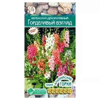 Вербаскум Горделивый взгляд, смесь окрасок Евросемена