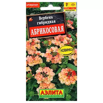 Вербена Абрикосовая Аэлита