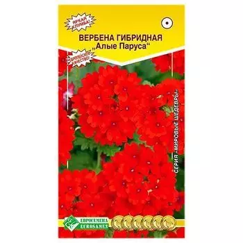 Вербена Алые паруса F1 Евросемена