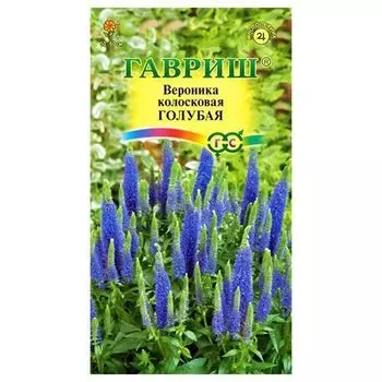 Вероника Голубая Гавриш