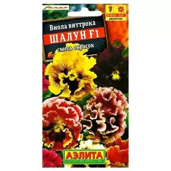 Виола Шалун F1, смесь окрасок Аэлита