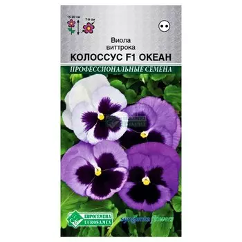 Виола Виттрока Колоссус Океан F1, смесь окрасок Евросемена